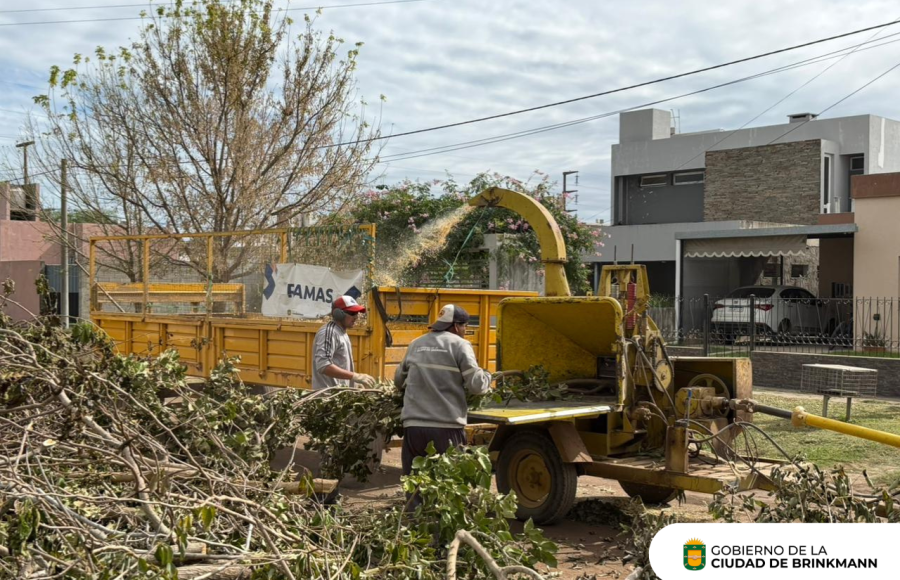 Continúa la recolección de ramas en toda la ciudad