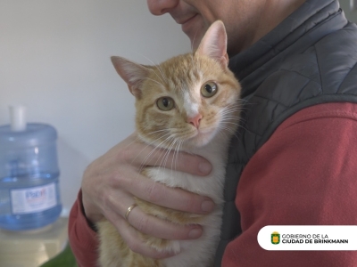 Exitosa jornada de vacunación antirrábica de mascotas