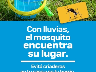 Evitemos la proliferación del mosquito